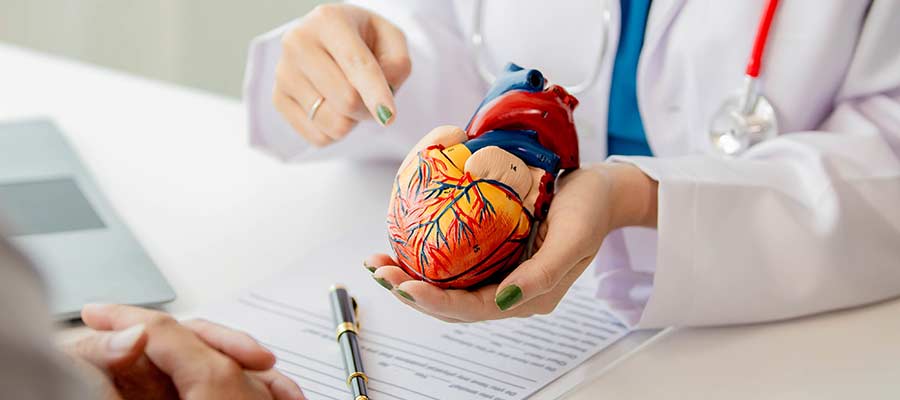 Cardiovascular Risk Assessments Near Me in Bradenton, FL Cardiovascular Risk Assessments Near Me in Bradenton, FL