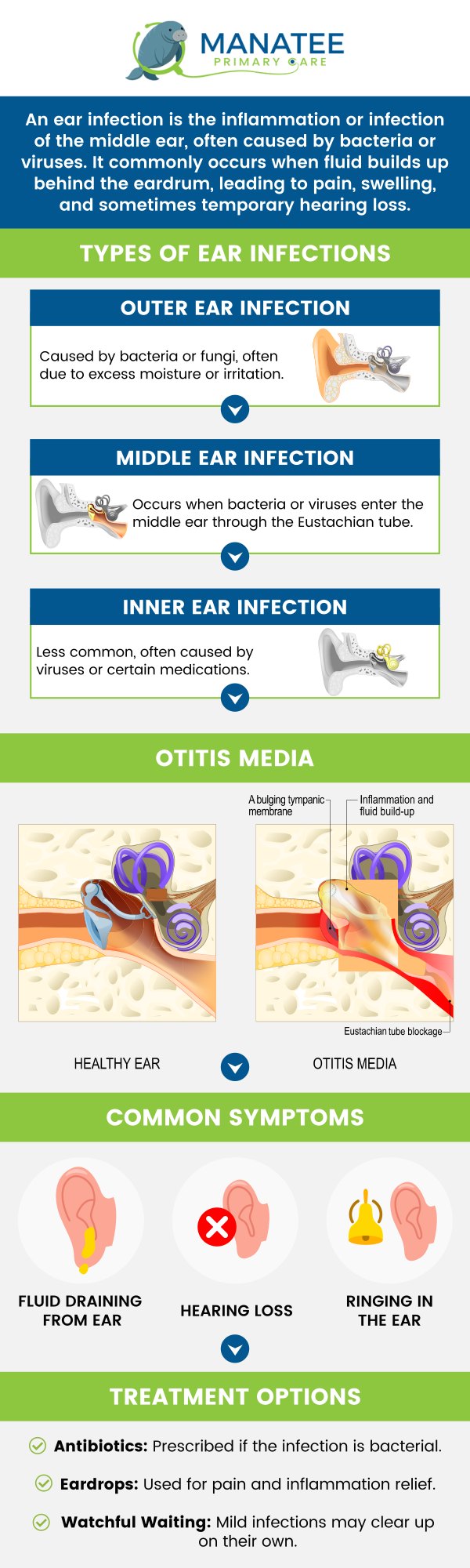 Common questions asked by patients: What causes an ear infection? What not to do with an ear infection? What happens if an ear infection goes untreated? What is stage 3 ear infection? For more information, contact us or request an appointment online. We are conveniently located at 6302 Manatee Ave W, Suite D, Bradenton, FL 34209. We serve patients from Bradenton FL, Parrish FL, Bayshore Gardens FL, Memphis FL, South Bradenton FL, Palmetto FL, and surrounding areas. Common questions asked by patients: What causes an ear infection? What not to do with an ear infection? What happens if an ear infection goes untreated? What is stage 3 ear infection? For more information, contact us or request an appointment online. We are conveniently located at 6302 Manatee Ave W, Suite D, Bradenton, FL 34209. We serve patients from Bradenton FL, Parrish FL, Bayshore Gardens FL, Memphis FL, South Bradenton FL, Palmetto FL, and surrounding areas.