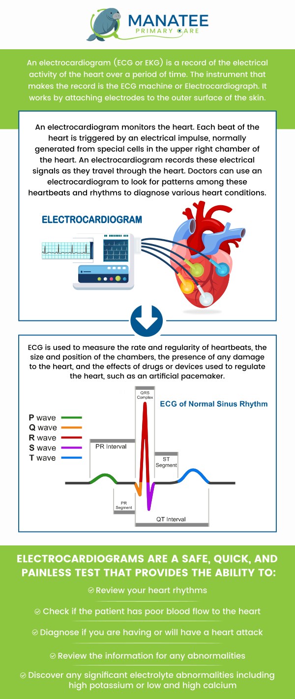 Common questions asked by patients: What exactly is an EKG, and what does it measure? Why would a doctor recommend an EKG, and what conditions can it help detect? What can I expect during an EKG procedure? Is it painful or uncomfortable? How do I prepare for an EKG, and how long does the test usually take? For more information, contact us or request an appointment online. We are conveniently located at 6302 Manatee Ave W, Suite D, Bradenton, FL 34209. We serve patients from Bradenton FL, Parrish FL, Bayshore Gardens FL, Memphis FL, South Bradenton FL, Palmetto FL, and surrounding areas. Common questions asked by patients: What exactly is an EKG, and what does it measure? Why would a doctor recommend an EKG, and what conditions can it help detect? What can I expect during an EKG procedure? Is it painful or uncomfortable? How do I prepare for an EKG, and how long does the test usually take? For more information, contact us or request an appointment online. We are conveniently located at 6302 Manatee Ave W, Suite D, Bradenton, FL 34209. We serve patients from Bradenton FL, Parrish FL, Bayshore Gardens FL, Memphis FL, South Bradenton FL, Palmetto FL, and surrounding areas.