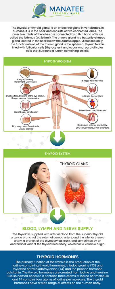 Common questions asked by patients: What are the most common types of thyroid disorders? What are the typical symptoms of a thyroid disorder? How is a thyroid disorder diagnosed? When should I seek immediate medical attention for my thyroid condition? For more information, contact us or request an appointment online. We are conveniently located at 6302 Manatee Ave W, Suite D, Bradenton, FL 34209. We serve patients from Bradenton FL, Parrish FL, Bayshore Gardens FL, Memphis FL, South Bradenton FL, Palmetto FL, and surrounding areas.