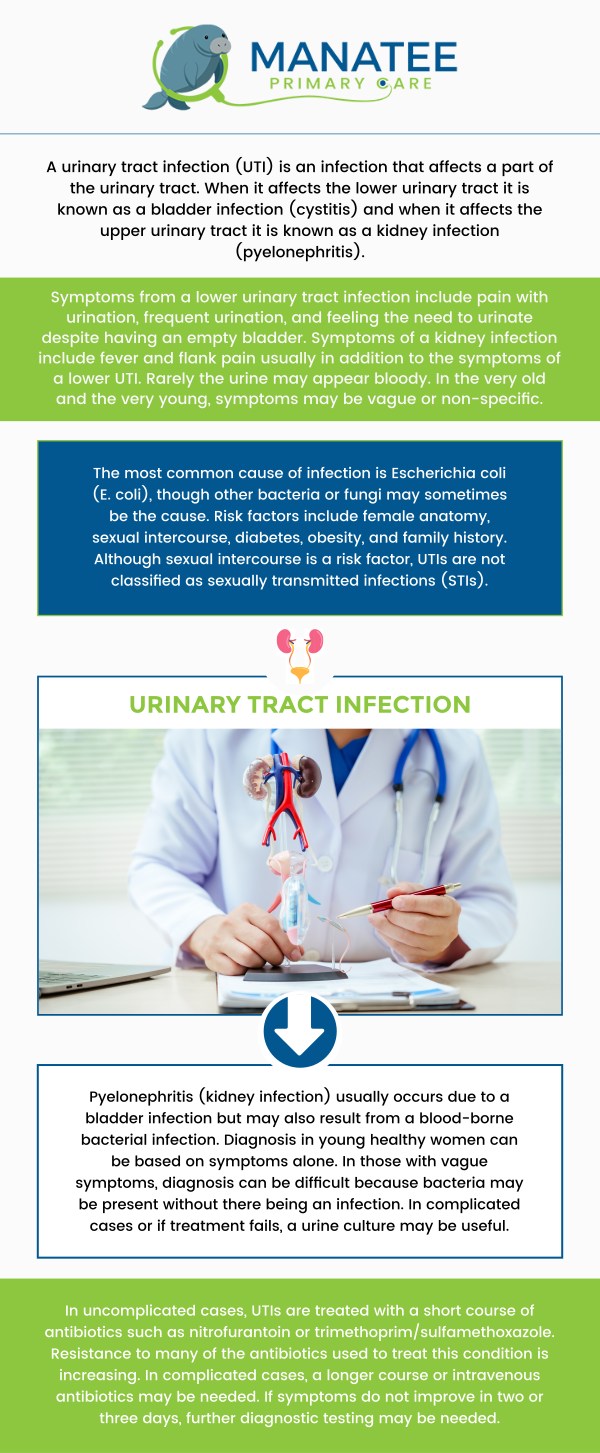 Common questions asked by patients: What is a urinary tract infection (UTI)? What causes a urinary tract infection? What are the signs of a urinary tract infection? How long does it take to treat a UTI? What can happen if a UTI is left untreated? For more information, contact us or request an appointment online. We are conveniently located at 6302 Manatee Ave W, Suite D, Bradenton, FL 34209. We serve patients from Bradenton FL, Parrish FL, Bayshore Gardens FL, Memphis FL, South Bradenton FL, Palmetto FL, and surrounding areas. Common questions asked by patients: What is a urinary tract infection (UTI)? What causes a urinary tract infection? What are the signs of a urinary tract infection? How long does it take to treat a UTI? What can happen if a UTI is left untreated? For more information, contact us or request an appointment online. We are conveniently located at 6302 Manatee Ave W, Suite D, Bradenton, FL 34209. We serve patients from Bradenton FL, Parrish FL, Bayshore Gardens FL, Memphis FL, South Bradenton FL, Palmetto FL, and surrounding areas.