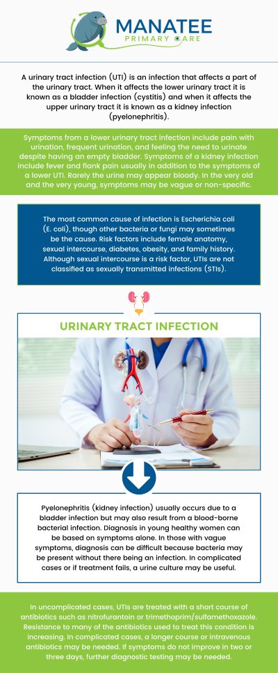 Common questions asked by patients: What is a urinary tract infection (UTI)? What causes a urinary tract infection? What are the signs of a urinary tract infection? How long does it take to treat a UTI? What can happen if a UTI is left untreated? For more information, contact us or request an appointment online. We are conveniently located at 6302 Manatee Ave W, Suite D, Bradenton, FL 34209. We serve patients from Bradenton FL, Parrish FL, Bayshore Gardens FL, Memphis FL, South Bradenton FL, Palmetto FL, and surrounding areas. Common questions asked by patients: What is a urinary tract infection (UTI)? What causes a urinary tract infection? What are the signs of a urinary tract infection? How long does it take to treat a UTI? What can happen if a UTI is left untreated? For more information, contact us or request an appointment online. We are conveniently located at 6302 Manatee Ave W, Suite D, Bradenton, FL 34209. We serve patients from Bradenton FL, Parrish FL, Bayshore Gardens FL, Memphis FL, South Bradenton FL, Palmetto FL, and surrounding areas.