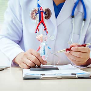 Urinary Tract Infections (UTI) Treatment in Bradenton, FL